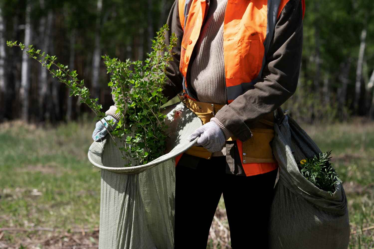 Best Emergency Storm Tree Removal  in Vineyards, FL